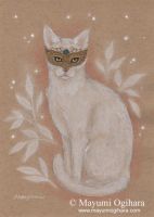 Mysterious Cat
